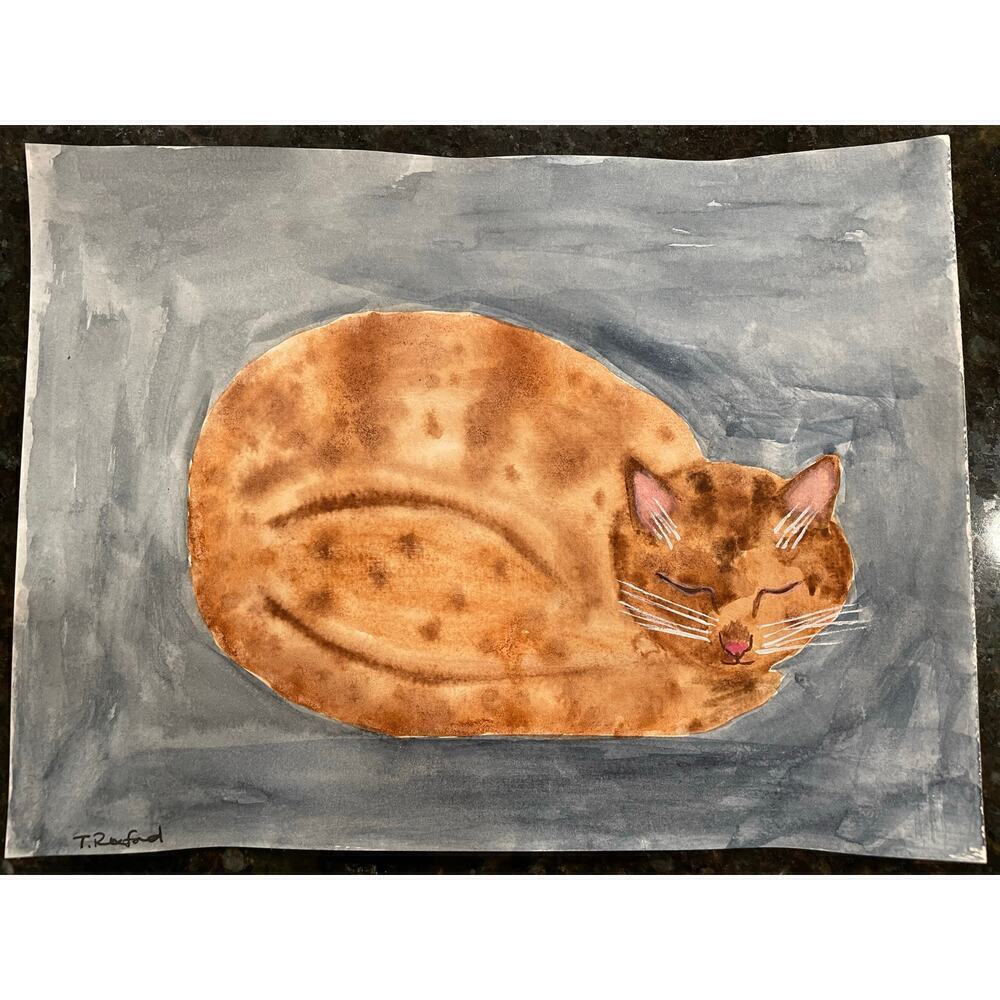 Hand painted watercolor original painting sleeping cat 9x12